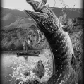 Пейзажи на памятник