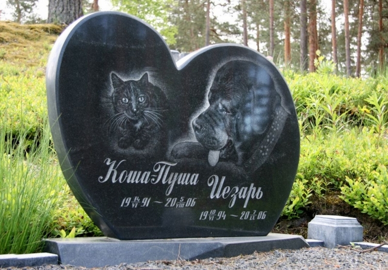 памятники для животных в беларуси